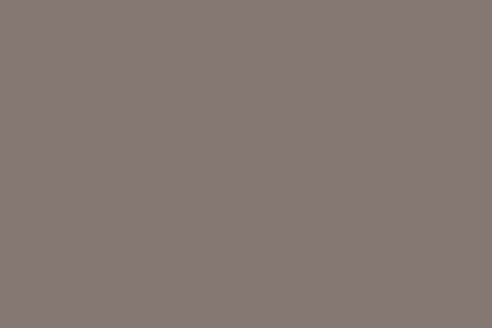 Buckskin,QC 9202 Colour Buckskin colour