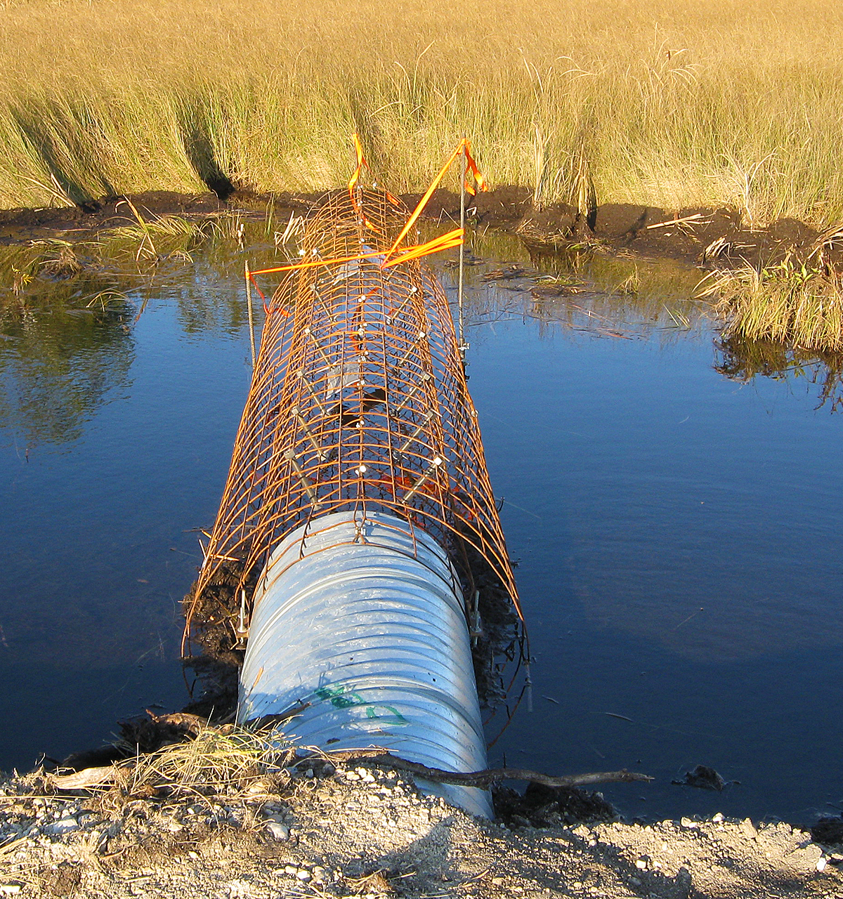 Armtec products - Beaver Stop™ Beaver Control