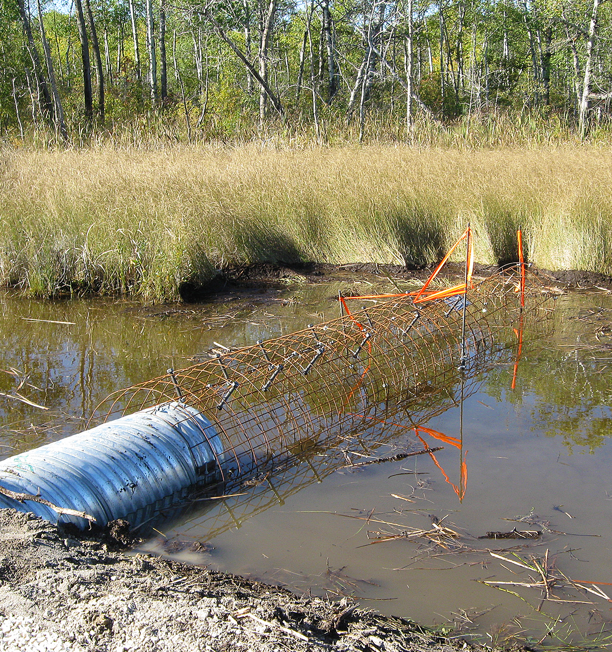 Beaver Stop™ Beaver Control Slide 1 