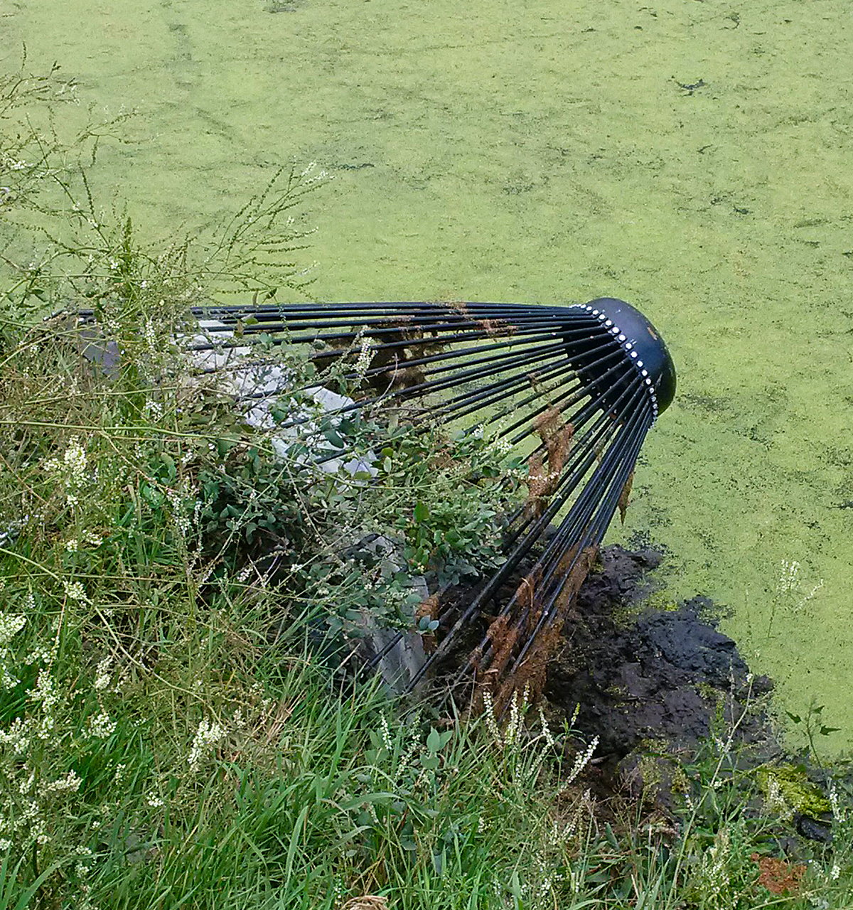 Flow Guard Beaver Control Slide 0 