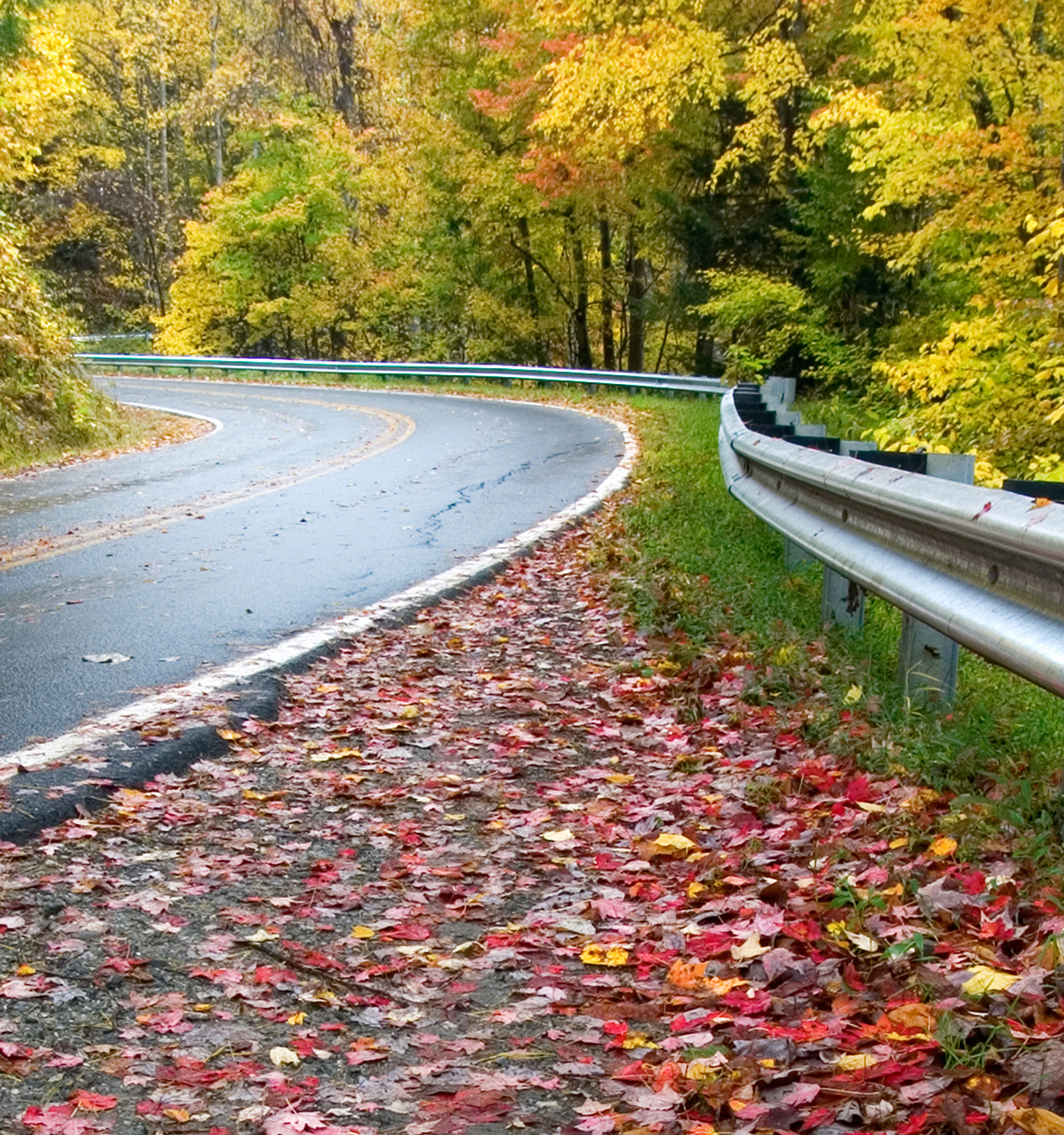 Guardrail Slide 1 