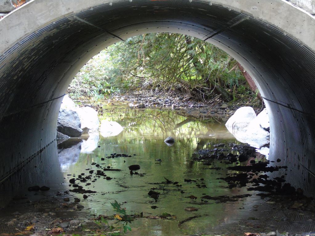 Armtec: West Creek, BC Arch Shaped Multi Plate Crossing. Project Image 1