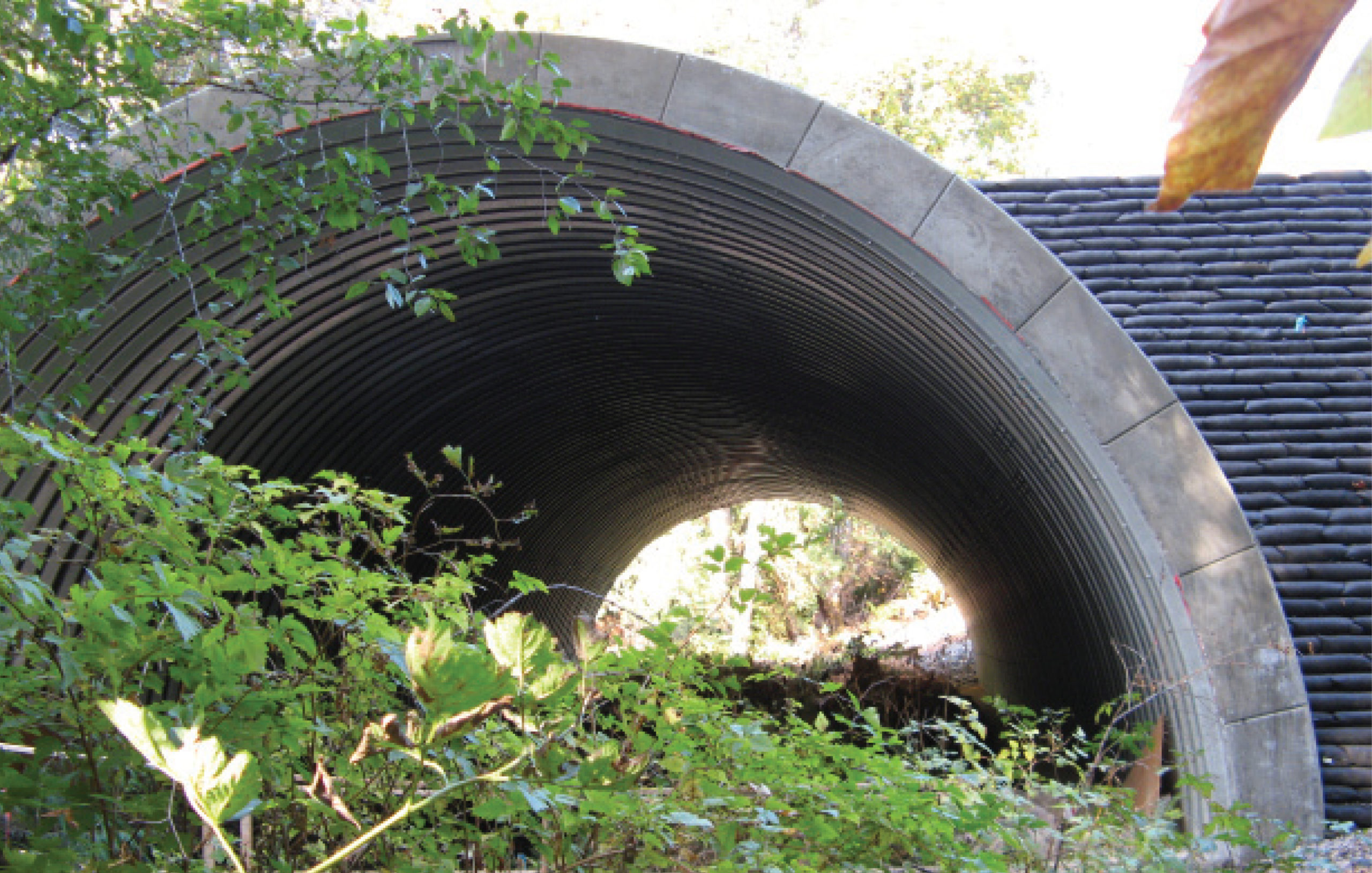 Image of Parkdale Creek BC Stream Crossing