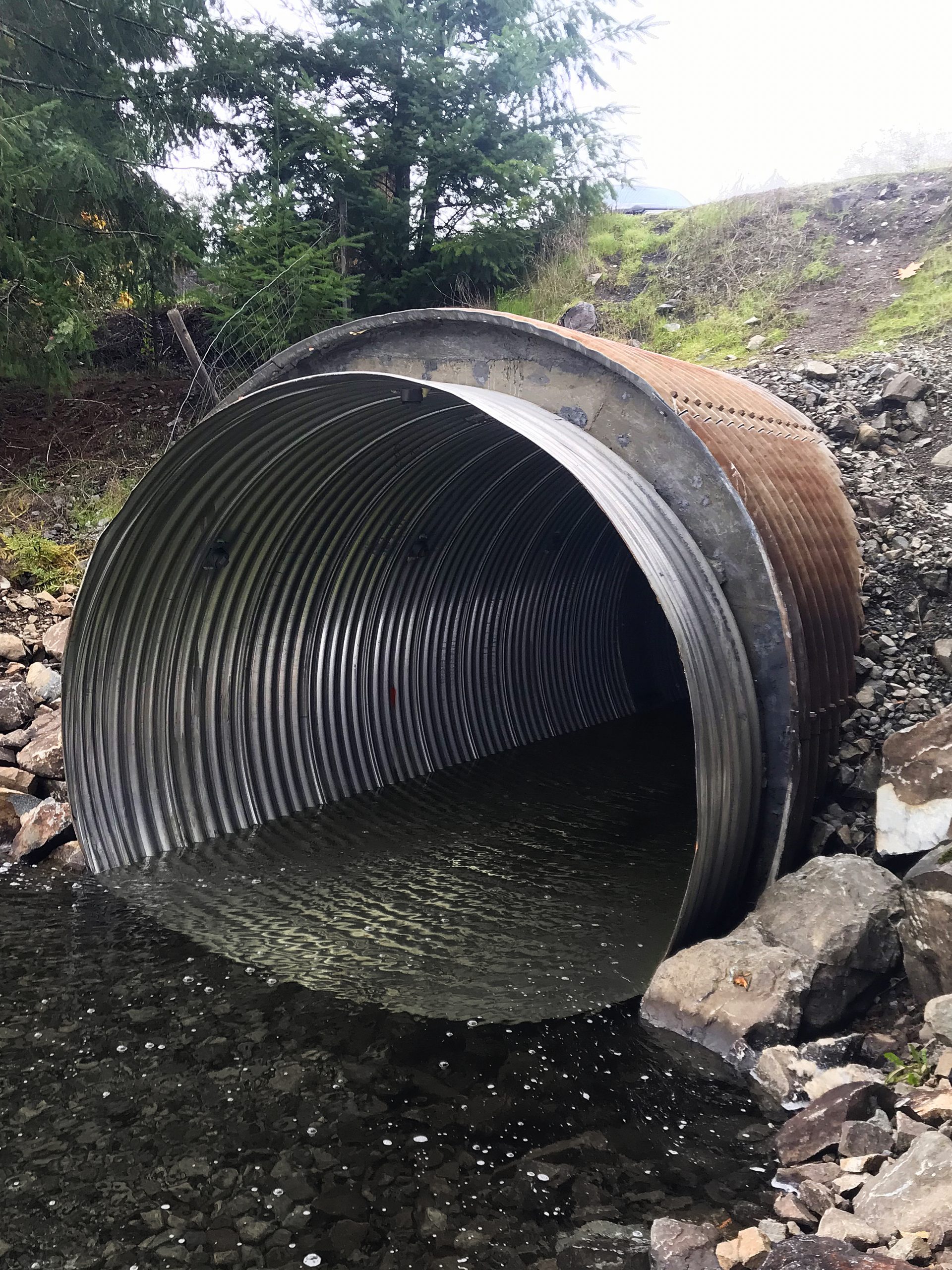 Image of Sproat Lake CSP Reline