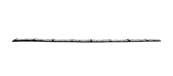 Westman Steel: Rainbow Rib Closure